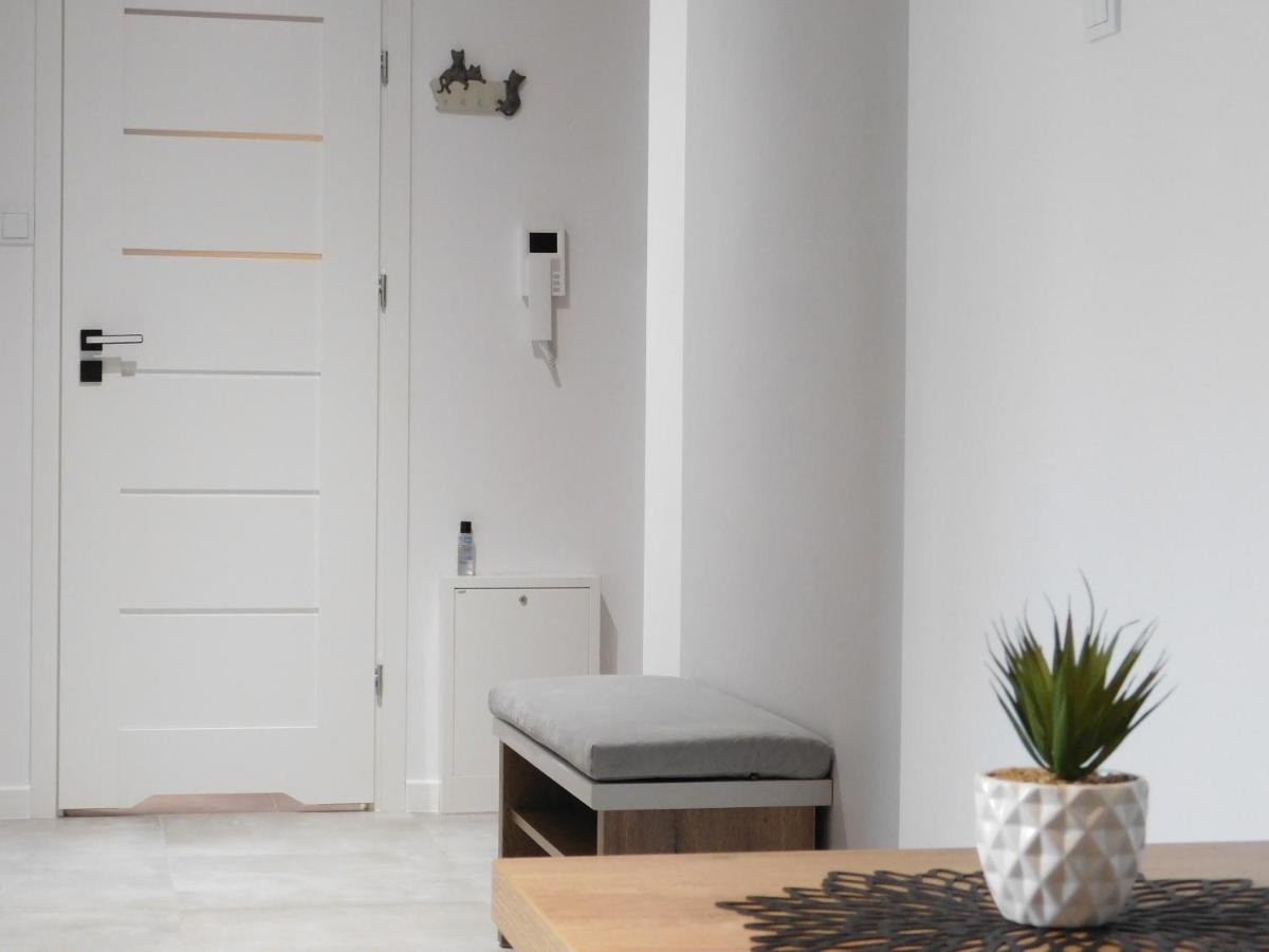 Zielone Wzgorze Apartment