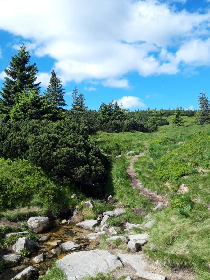 Zielone Wzgorze
