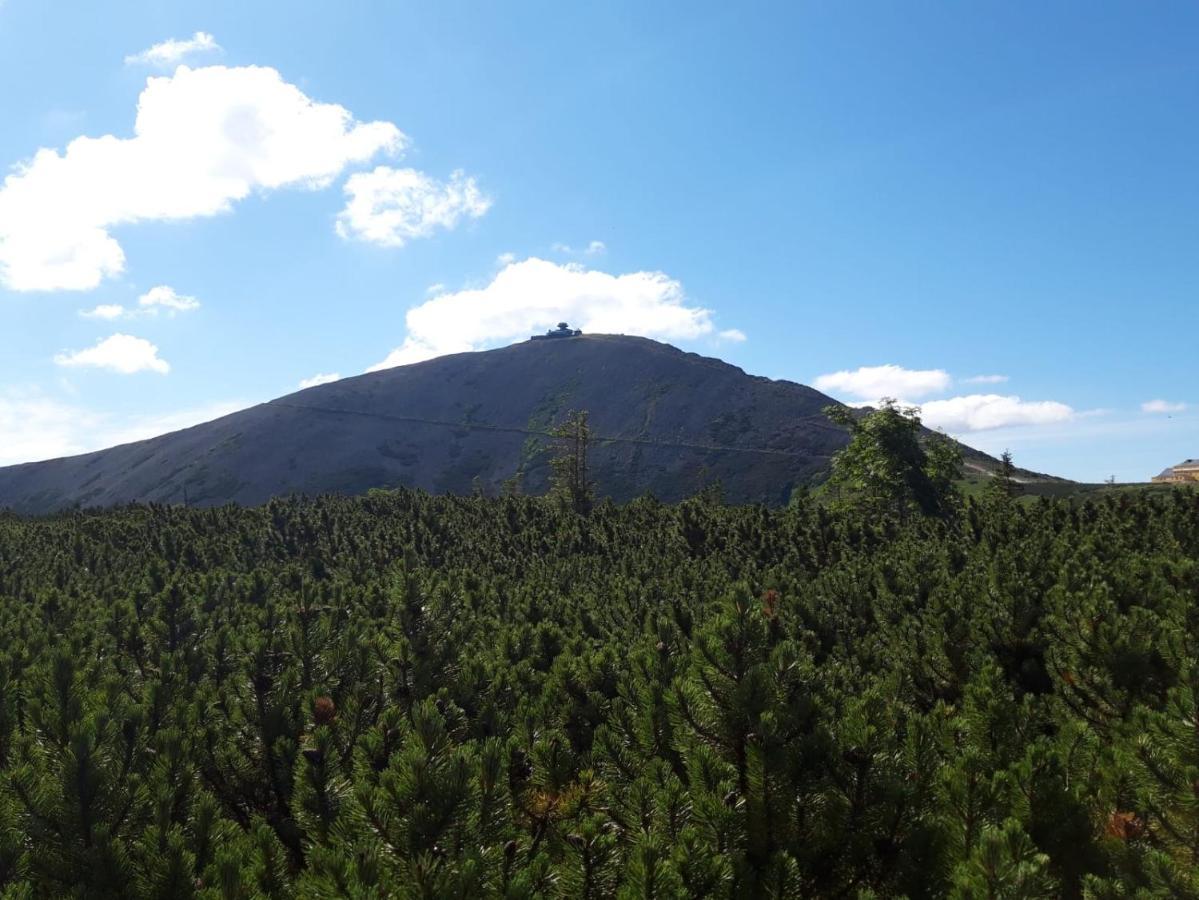 Zielone Wzgorze Jelenia Gora