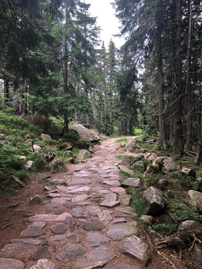 Zielone Wzgorze Апартаменти