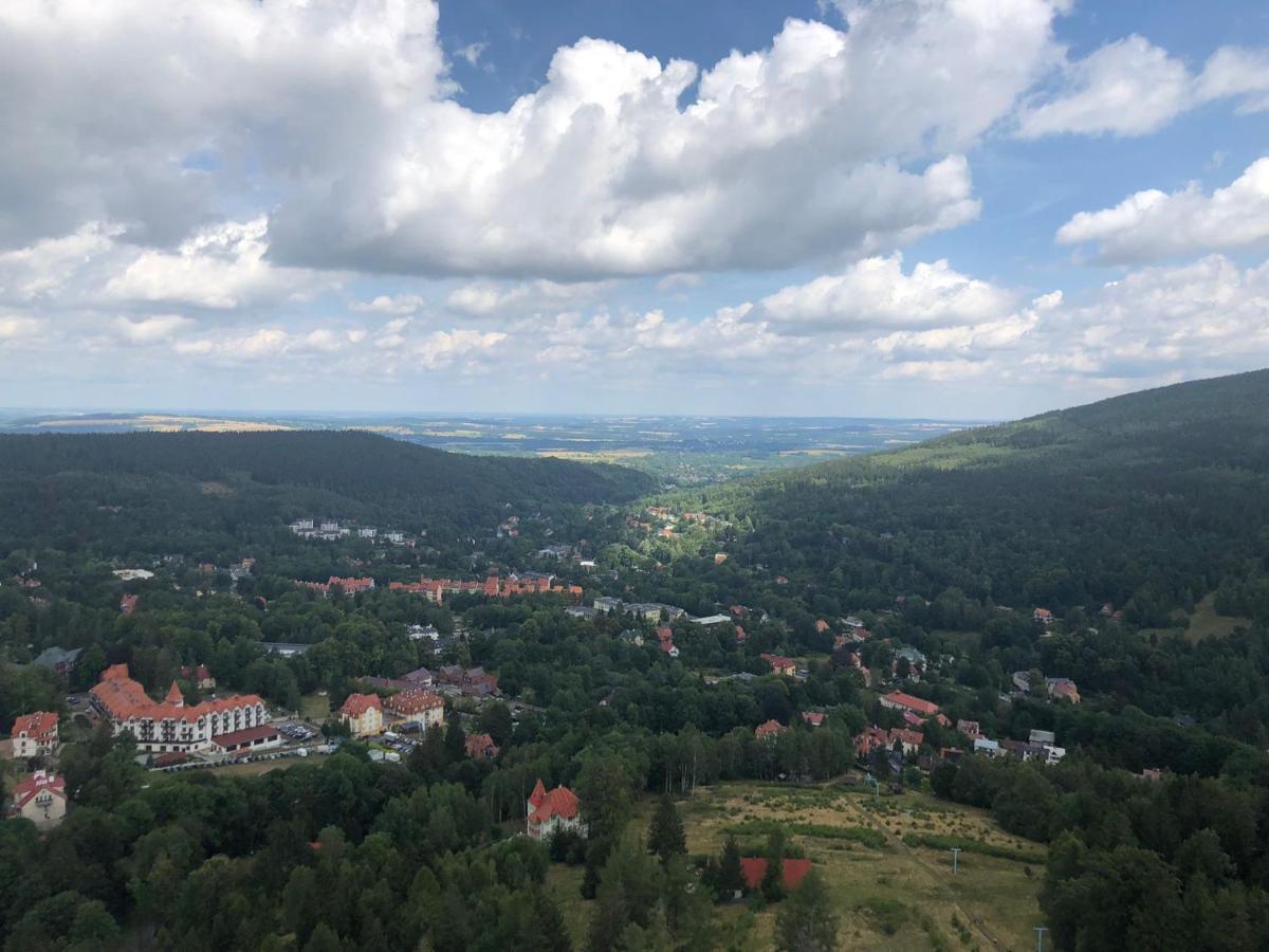 Zielone Wzgorze Apartment